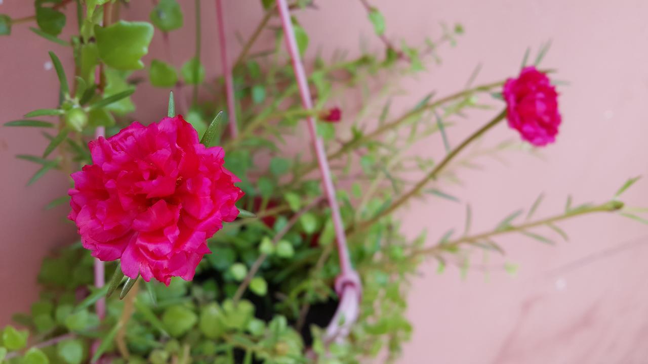 Pama Hotel Kampong Chhnang Luaran gambar